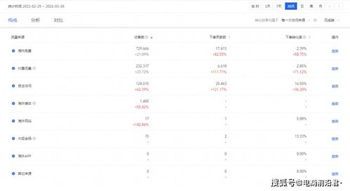 第三部分：打破付费流量困境的策略
