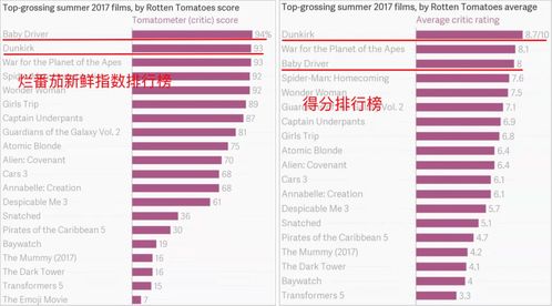平台监管与投诉机制