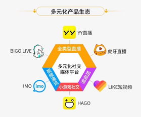 四、 合作模式与全球化人才网络