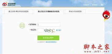 二、 找回TEMU账号密码的步骤