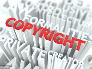 二、 知识产权保护，不容忽视