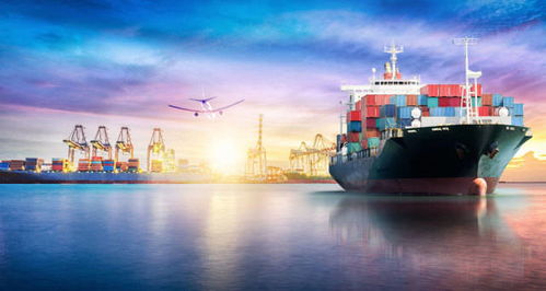 国际货代海运