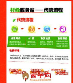 淘宝代购的样式与电子类行业的高级定制