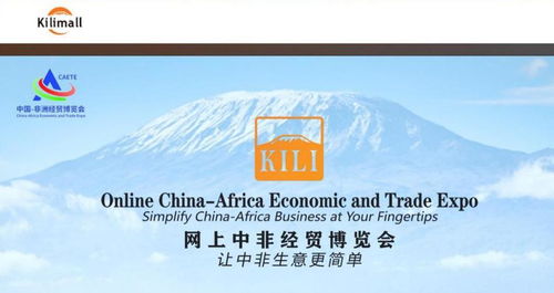 市场地位：Jumia——非洲电商的领头羊