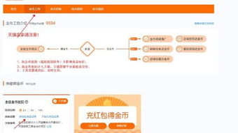 一、 淘金币流量补单的可行性分析