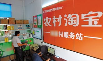 3. 没有电商人才