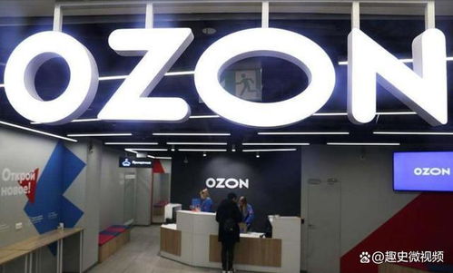 二、 俄罗斯电商市场前景