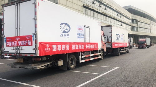 选择合适的运输工具