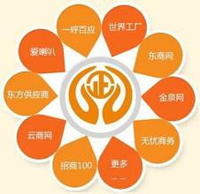 引入阿里巴巴运营托管服务的概念