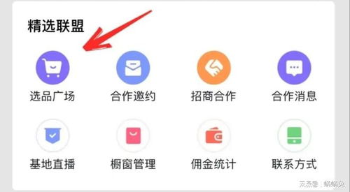二、抖音小店的盈利策略