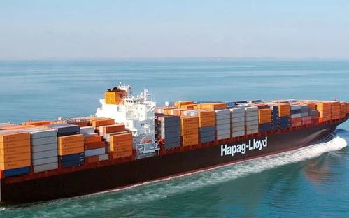 凶险货物不符合海运规则的