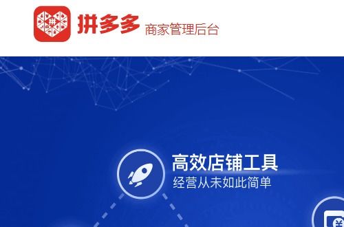 步骤一：访问拼多多官网