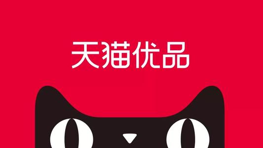 二、 品牌影响力不足，需打磨品牌价值