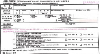 海关申报：确保信息的完整与准确