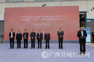 全国首单跨境电商分单模式在凭祥综合保税区完成实测