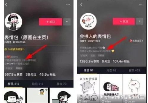 五、 寻找合作机会：与品牌建立共赢关系