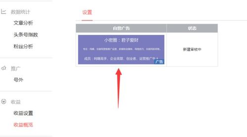 二、 Ozon平台简介