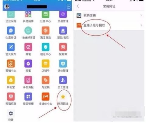 一、淘宝直播账号的选择：新号与主账号的对比分析