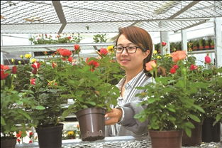 二、 花卉盆栽、各类种子——美丽与生命的传承