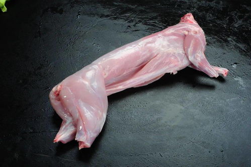 二、动物福利和公共卫生认证