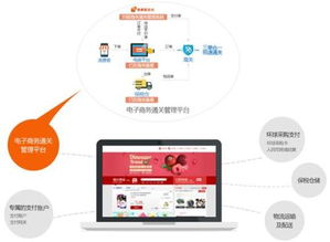 跨境采购及资金结算