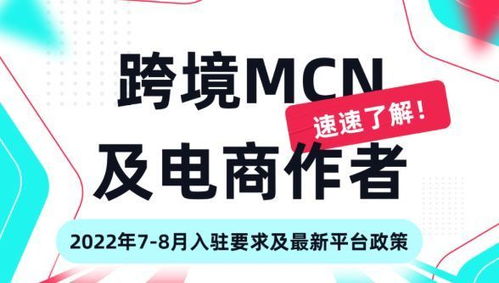 二、 具体政策调整内容