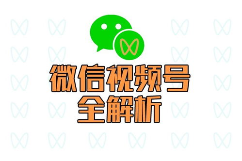 3. 预告与宣传