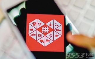 2. 团长付款与返还