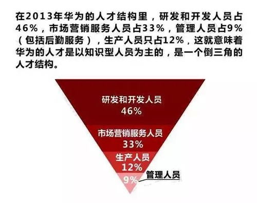 二、 优秀人力资源，助力企业发展