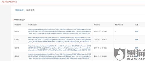 3. 权属凭据链完整展示