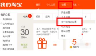 3. 绑定支付宝账户