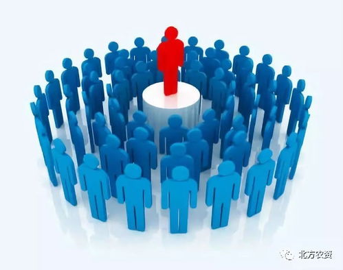 （4）以应用的形式进行发布的活动营销