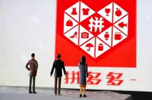 一、 拼多多物流服务的现状与挑战