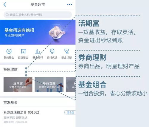 1. 关注市场动态，紧跟热点