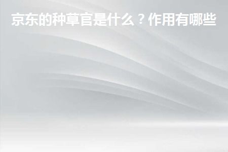 二、 京东种草官的用途及作用