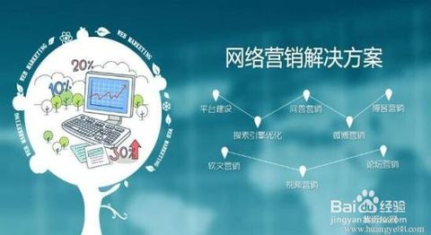 流量入口拓展：多元化引流策略