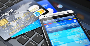 早期收款方式：银行汇款