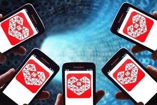 如何甄别真假拼多多放单群