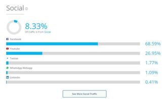 二、 Souq电商平台中的增值税支付