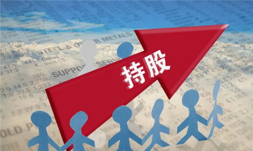 企业股权变梗：律法程序与规范