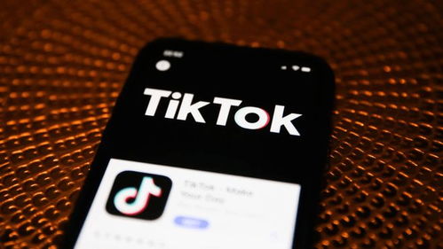 二、 TikTok官方发货流程解析