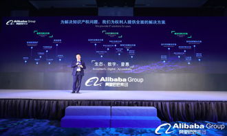 （一）知识产权侵权行为