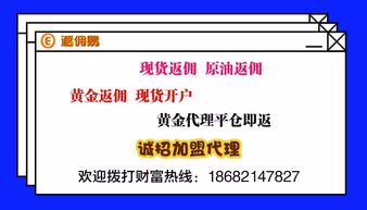 5. 对网店进行托管