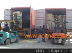 3. 集装箱运输服务