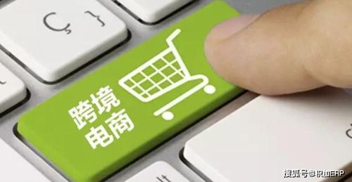 二、 进行市场研究