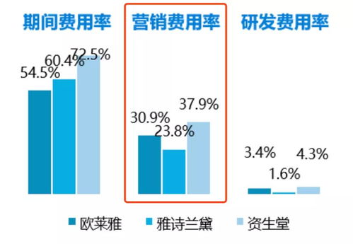 三、开设网店的前景与挑战