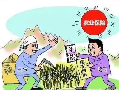 2. 活动参与受限