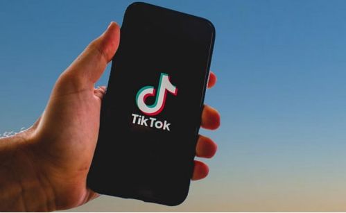 三、 TikTok官方发货步骤详解