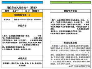 二、 查验：风险管控与实物核验的动态博弈