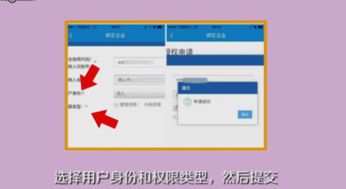 六、 身份验证与税务信息填写